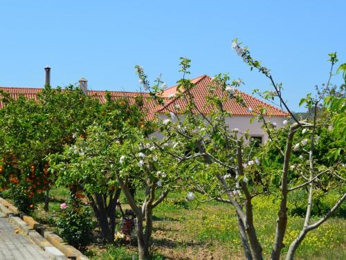 a row of apple trees in front of a house at Quinta do Covanco in Alenquer