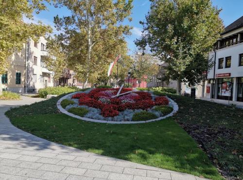 Patrik apartman 8000 Székesfehérvár, 36 Várkörút kép - 3