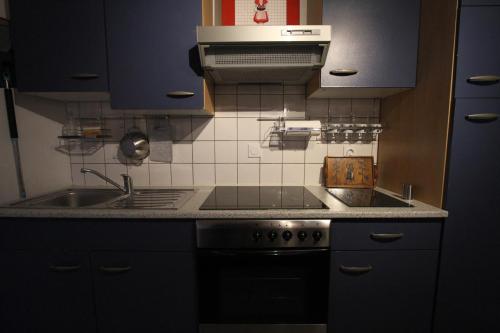 una cucina con lavandino e piano cottura di "appartement au centre & parking" Logement Petite Venise a Colmar
