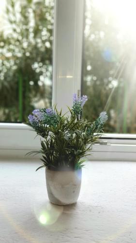 MARIJA MAGDALENA APARTMENT