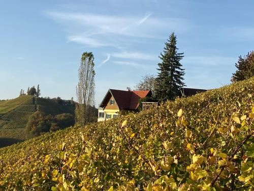 Gallery image of Ferienwohnungen Weingut Familie Danko in Gamlitz