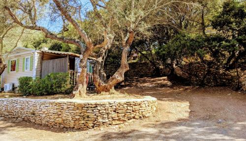 a tree in a stone wall in front of a house at Camping Campo Di Liccia - Maeva in Bonifacio