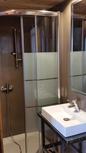 La salle de bains est pourvue d'une douche et d'un lavabo blanc. dans l'établissement appart chalet hameau des rennes - luxe -pied des pistes, à Vars