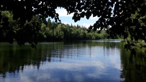 a view of a lake with trees in the background at Villa Tannerhof in Braunlage