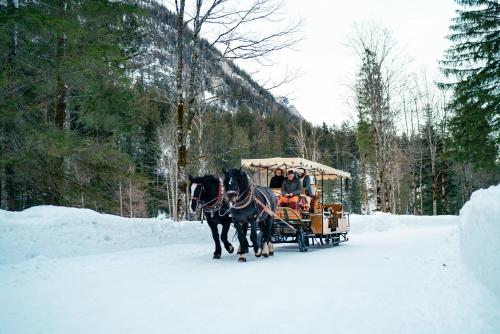 a horse drawn carriage in the snow with people at aja Ruhpolding in Ruhpolding