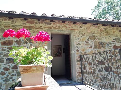 Vignoli – Photos 3