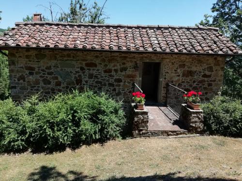 Vignoli – Photos 4