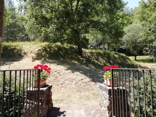 Vignoli – Photos 5