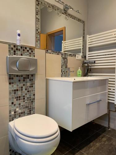 La salle de bains est pourvue de toilettes blanches et d'un lavabo. dans l'établissement Stadthaus Artur - Apartment Barcelona, à Remscheid
