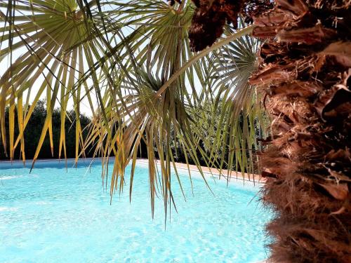 a palm tree next to a pool with blue water at Villa Curina Resort in Castelnuovo Berardenga