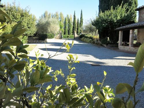 a driveway with a road with trees and a building at Villa Curina Resort in Castelnuovo Berardenga
