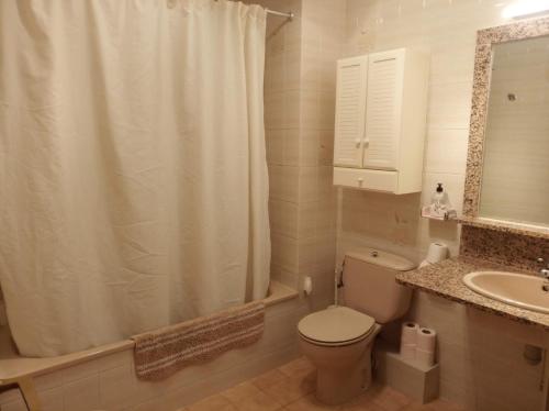a bathroom with a toilet and a shower and a sink at Apartamentos 7 Valles Jaca Centro in Jaca