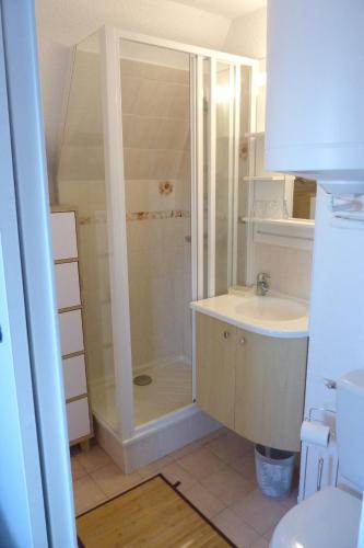 een badkamer met een douche en een wastafel bij Studio -vue mer résidence Grand Cap in Villers-sur-Mer