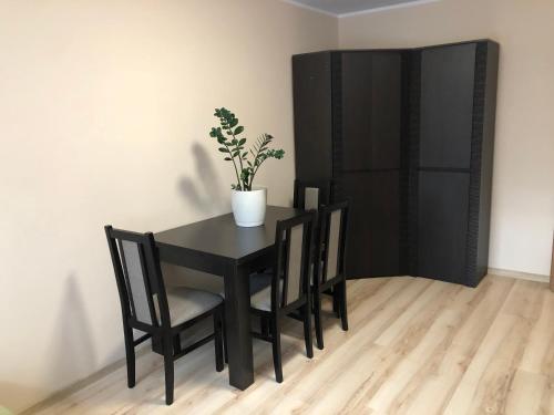 a black table and chairs with a potted plant on it at M.S. Piccolo in Żary