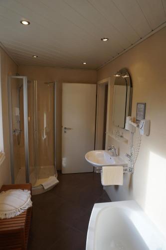 La salle de bains est pourvue d'un lavabo et d'une douche. dans l'établissement Hotel "Zur Moselterrasse", à Palzem