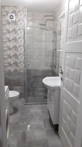 a bathroom with a shower and a sink and a toilet at Orion Complex Apartment 3 in Bitola
