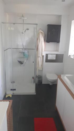 ein kleines Bad mit einer Dusche und einem WC in der Unterkunft ruhiges Zimmer in Pankow in Berlin