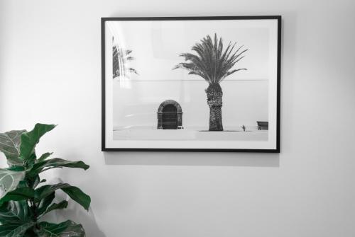 a picture of a palm tree and a building at St Marks Randwick in Sydney