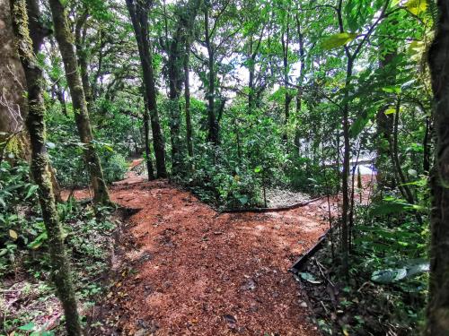 a dirt trail in the middle of a forest at Burbi Lake Lodge Monteverde in Monteverde Costa Rica