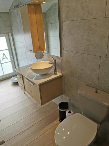 a bathroom with a sink and a toilet at Hôtel Belair "Ravel Etape" in Waimes