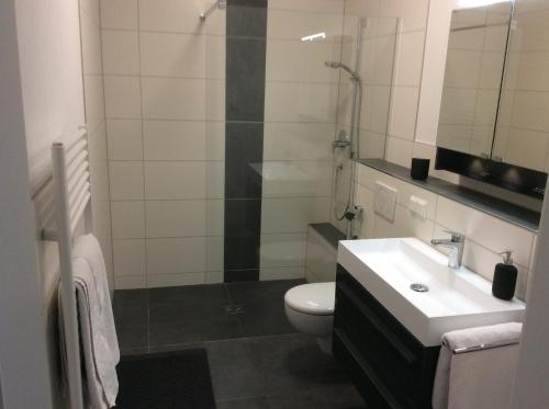 uma casa de banho com um WC, um lavatório e um chuveiro em Ferienwohnung 2, Wildes Wässerchen em Bad Hersfeld