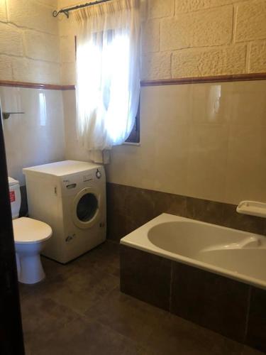 a bathroom with a washing machine and a toilet at Blueberry Hills in Żejtun