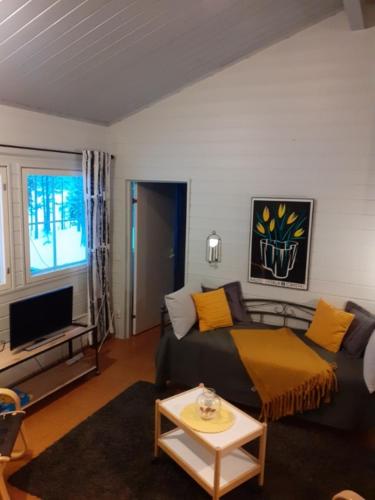 ein Wohnzimmer mit Sofa und Fernseher in der Unterkunft Lomakylä Atimo in Alakitka