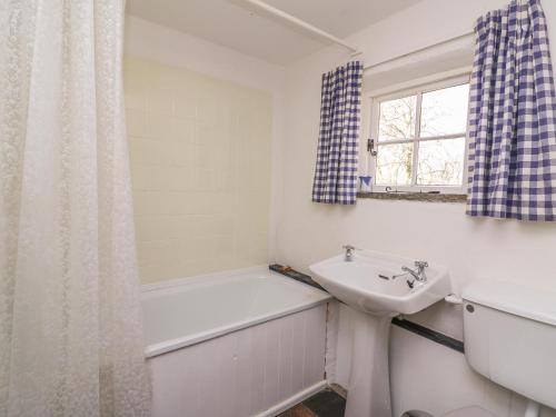 uma casa de banho com um lavatório, uma banheira e um WC. em Hawthorn Cottage em Llandysul
