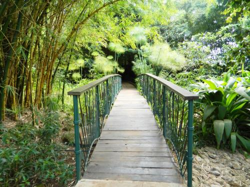 a wooden bridge in a garden with trees at Octagon Lodge in Karatu