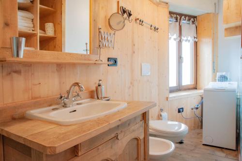 La salle de bains est pourvue d'un lavabo et de toilettes. dans l'établissement Casa Fiore CIPAT 22038, à Canal San Bovo