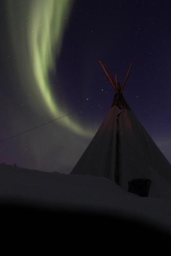 a nighttime picture of a tent with the northern lights at Lofoten Camp in Stamsund