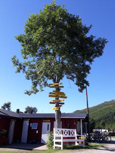 a tree with street signs on it next to a building at Lofoten Camp in Stamsund