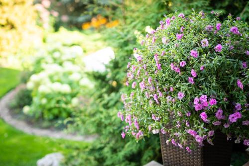 a basket filled with purple flowers in a garden at Videviku Villa Apartments in Tallinn