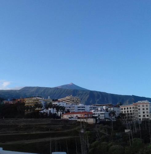 a city with buildings and mountains in the background at Apartamentos Pez Azul in Puerto de la Cruz