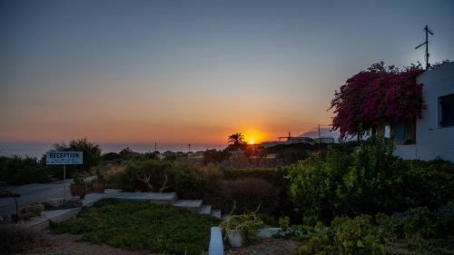 a sunset over a garden with the sun setting in the background at Margarita Apartments in Ierápetra