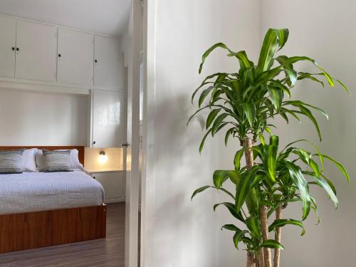 - une chambre avec un lit et une plante en pot dans l'établissement Departamento nuevo y luminoso en el centro de BA, à Buenos Aires