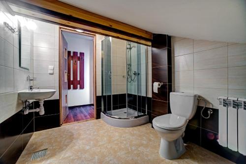 a bathroom with a toilet and a sink and a shower at Noclegi Dwór Szlachecki Biedaczów in Biedaczów