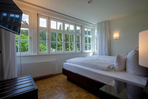 a bedroom with a bed and some windows at Residenz Itterbach in Willingen
