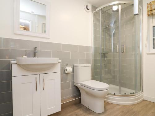 La salle de bains est pourvue de toilettes, d'un lavabo et d'une douche. dans l'établissement Swallow Cottage, à Ilfracombe