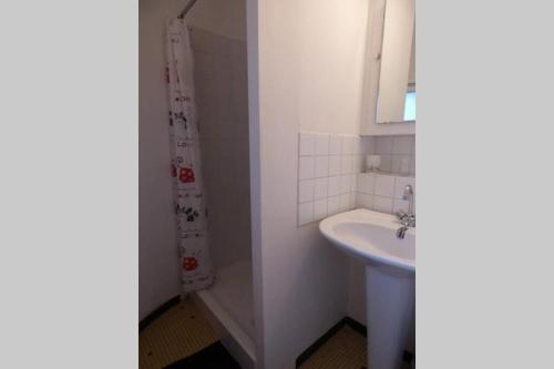 une salle de bain blanche avec un lavabo et une douche dans l'établissement Appartement la haute ville Granville, à Granville