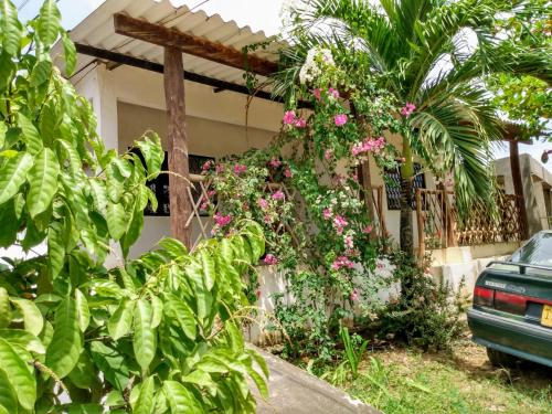 a house with flowers and plants in front of it at Hostal Santa Clara in San Antero