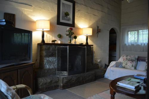 ein Wohnzimmer mit einem Kamin und einem TV in der Unterkunft Manwood Lodge in Henburg Park