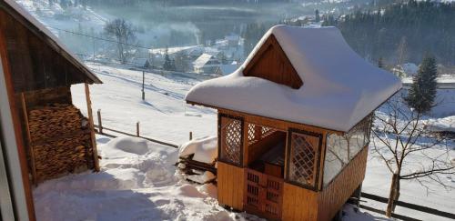 a small bird house covered in snow next to a house at Marichka in Yablunytsya