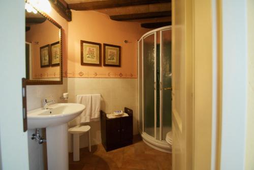 ein Bad mit einem Waschbecken und einer Dusche in der Unterkunft Torre Sangiovanni Albergo e Ristorante da Rosary in Todi