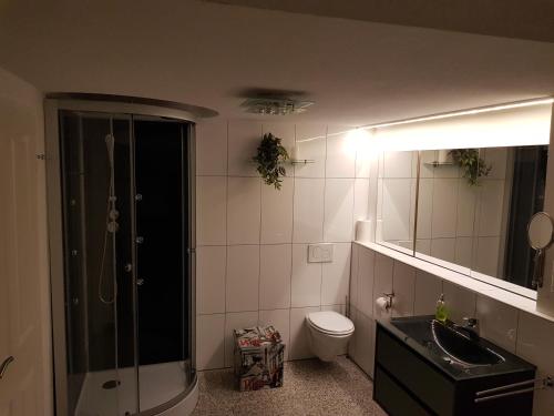 een badkamer met een toilet, een wastafel en een spiegel bij Ferienwohnung-Balaro Apt I EG-Wohnung mit großer Terrasse! in Weil im Schönbuch
