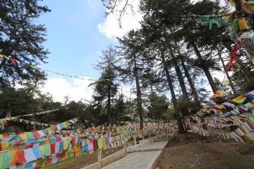Gallery image of Banyan Tree Ringha in Shangri-La