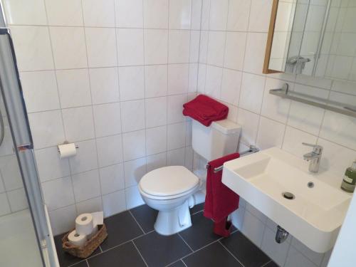 a bathroom with a white toilet and a sink at Ferienapartment Hugos in Balve