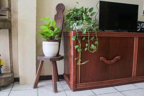 un meuble avec une télévision et une plante en pot sur un tabouret dans l'établissement Pousada Mucuripe, à Fortaleza