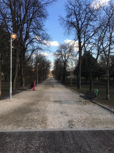 an empty street in a park with benches and trees at ROMANTIC studio in 12th district of Budapest, close to MOM Park in Budapest