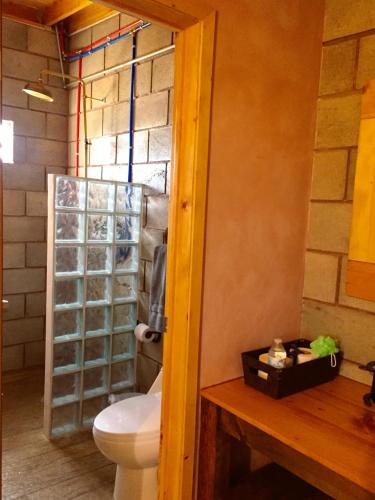 a bathroom with a toilet and a glass shower at Sn Tony Hotel & Spa in Valle de Guadalupe